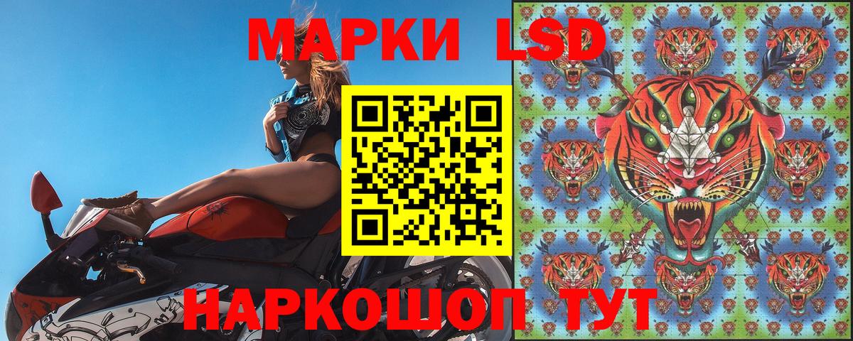 Наркотические марки 1,8мг  Вход с VPN  Железногорск  Наркотические марки 1,8мг 