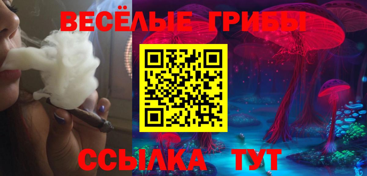 Железногорск  Псилоцибиновые грибы прущие грибы  Вход с VPN  магазин    Псилоцибиновые грибы MAGIC MUSHROOMS 